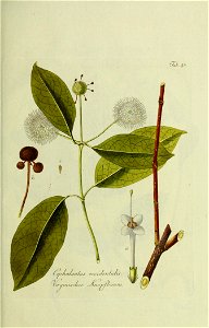 n154_w1150