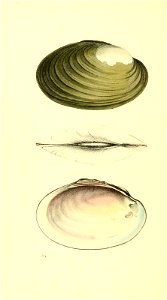 n317_w1150