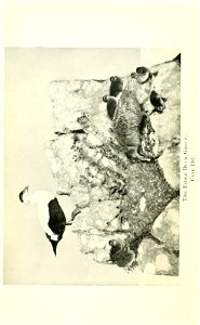n67_w1150