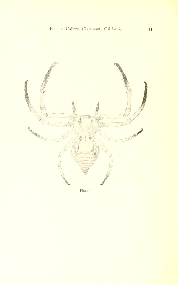 n163_w1150