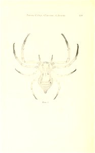 n163_w1150