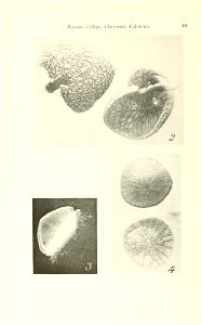 n17_w1150