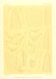 n938_w1150