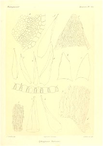 n908_w1150