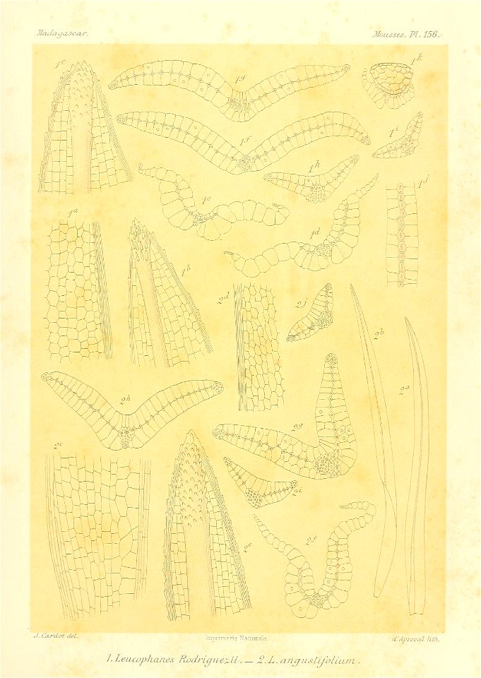 n936_w1150