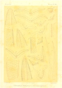 n936_w1150
