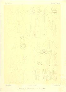 n876_w1150