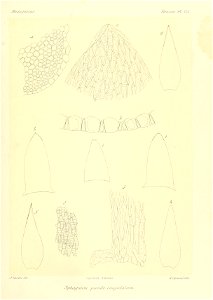 n906_w1150