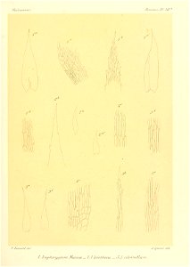 n846_w1150