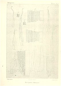 n696_w1150
