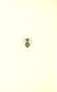 n99_w1150