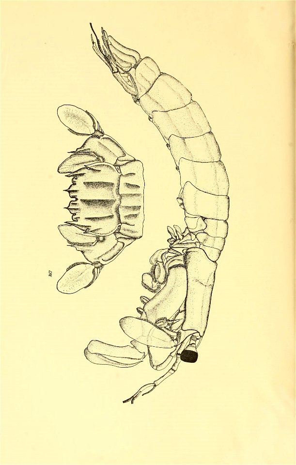n157_w1150