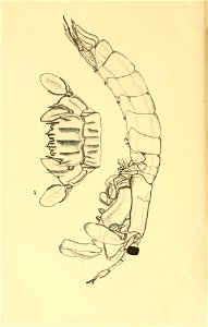 n157_w1150