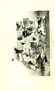 n49_w1150