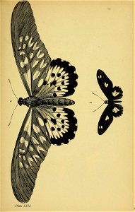 n406_w1150