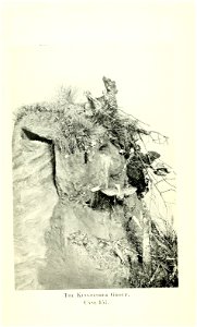 n47_w1150