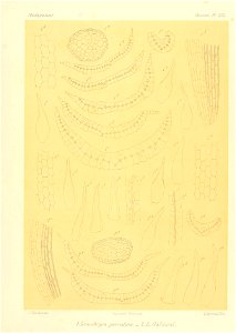 n932_w1150