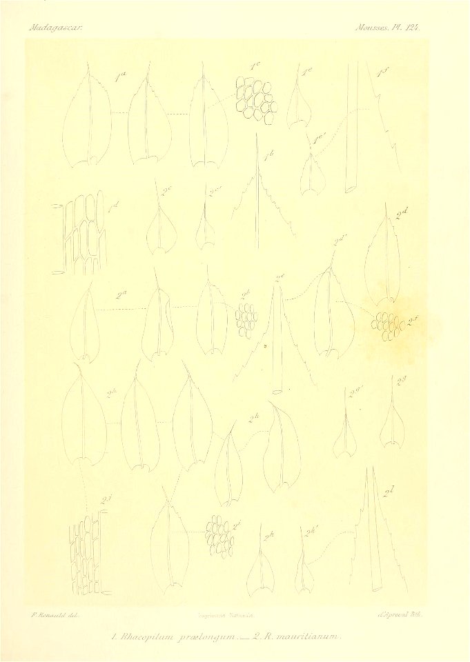 n872_w1150