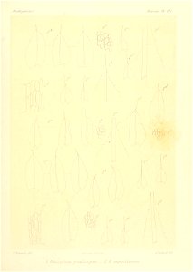 n872_w1150