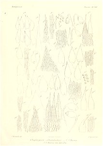 n842_w1150