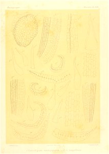 n930_w1150