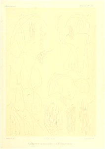 n870_w1150