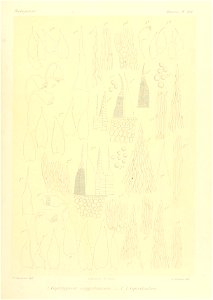 n840_w1150