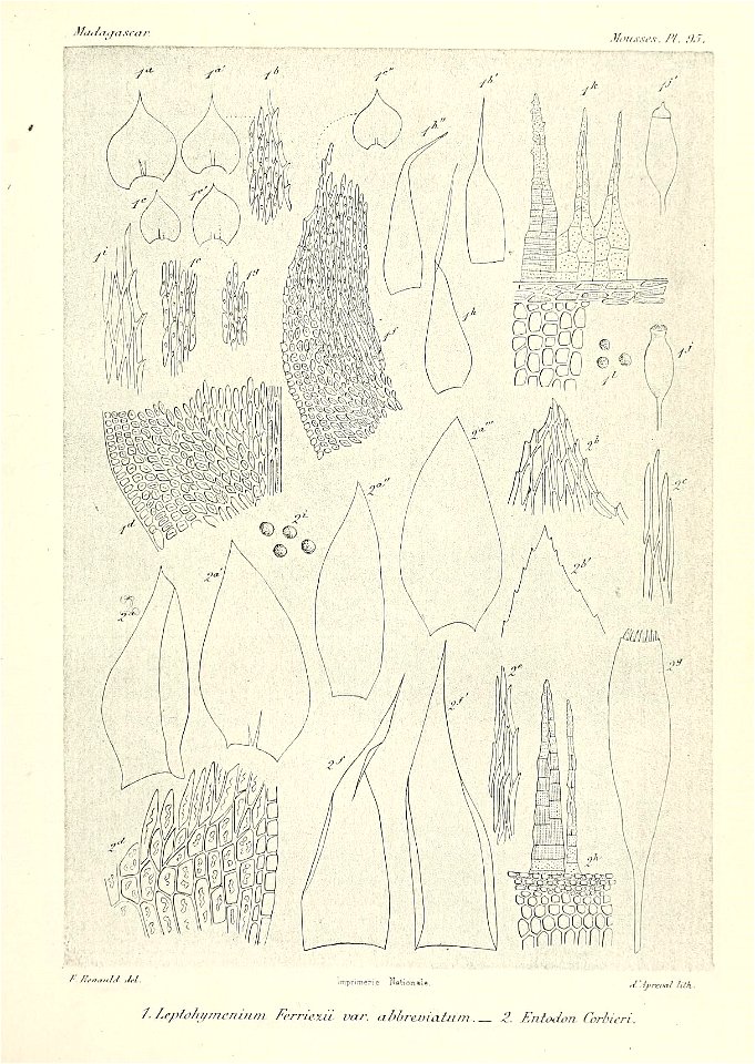 n810_w1150