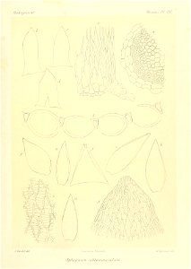 n898_w1150