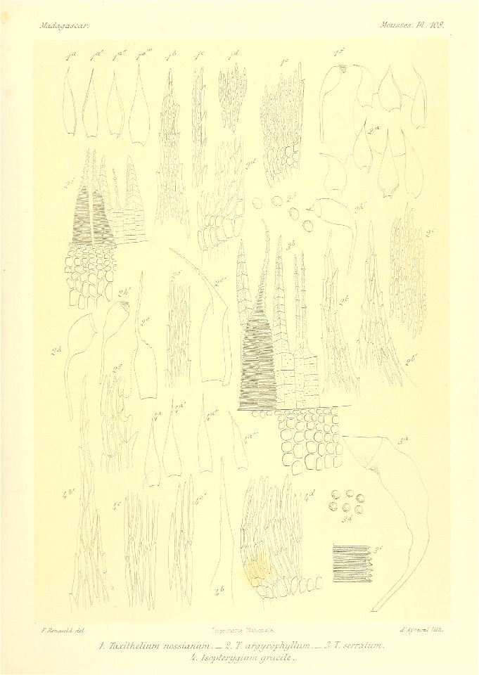 n838_w1150