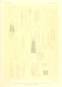 n838_w1150