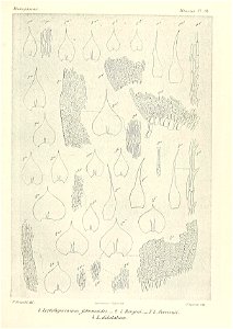 n808_w1150