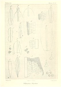 n688_w1150
