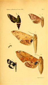 n112_w1150