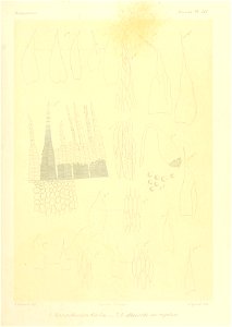 n866_w1150