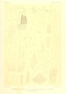 n836_w1150