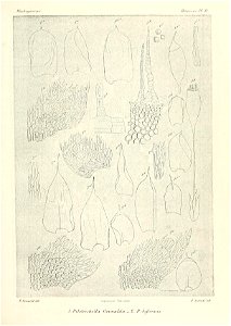 n776_w1150