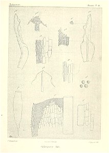 n686_w1150