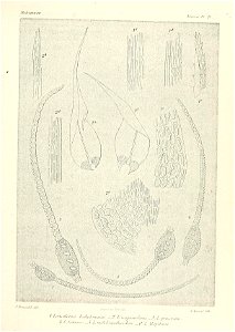 n626_w1150