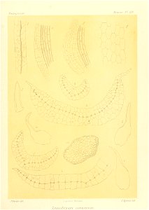 n924_w1150