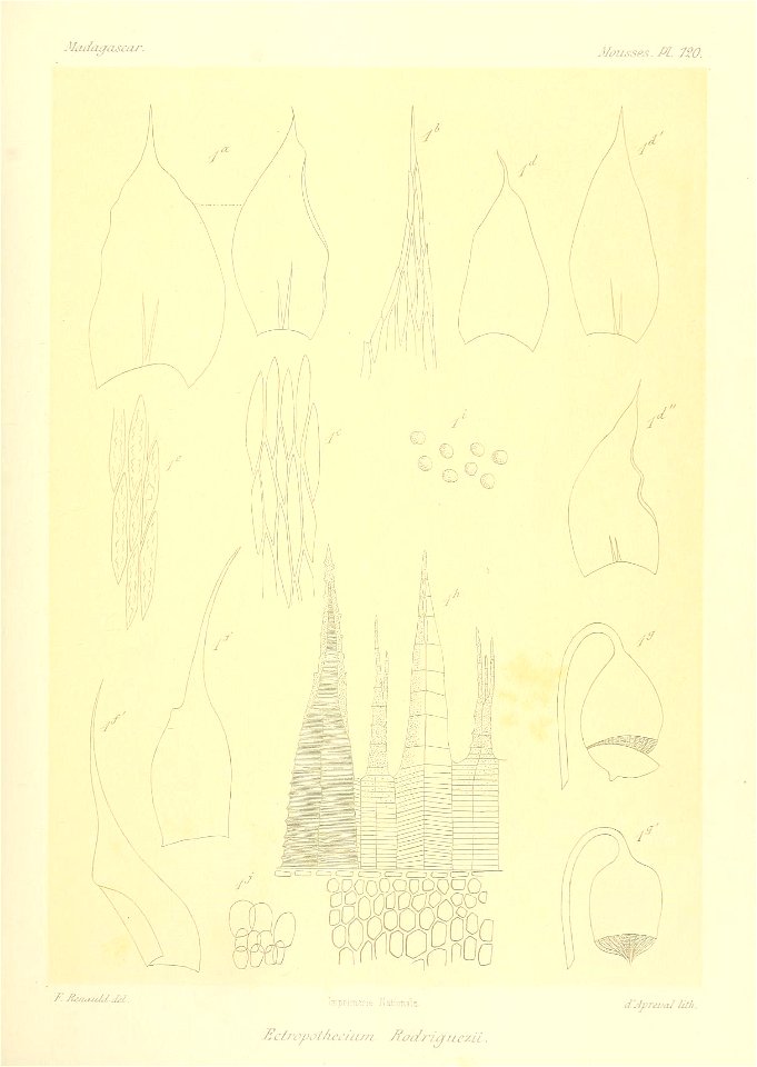 n864_w1150