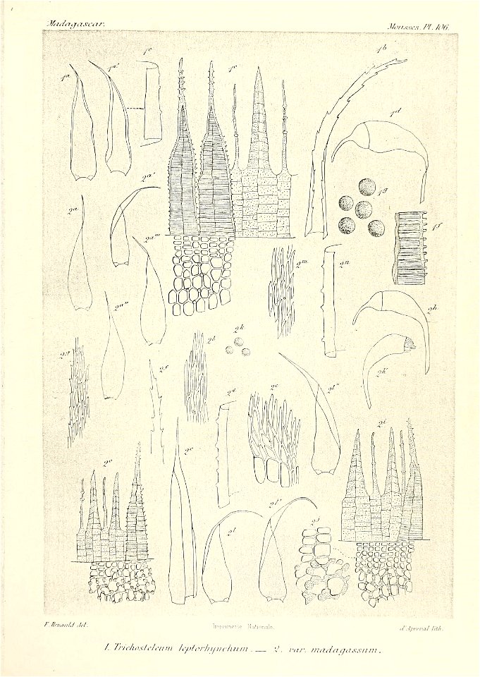 n834_w1150
