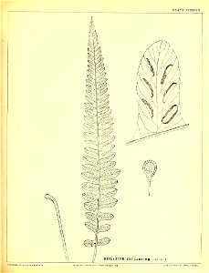 n570_w1150