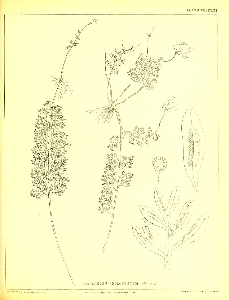 n390_w1150