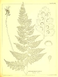 n420_w1150