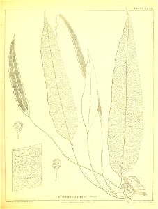 n210_w1150