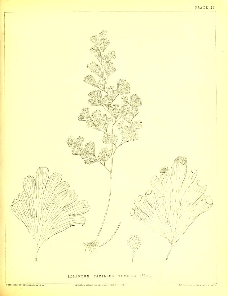 n120_w1150