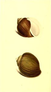 n341_w1150