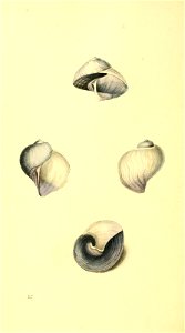 n119_w1150