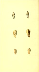 n153_w1150